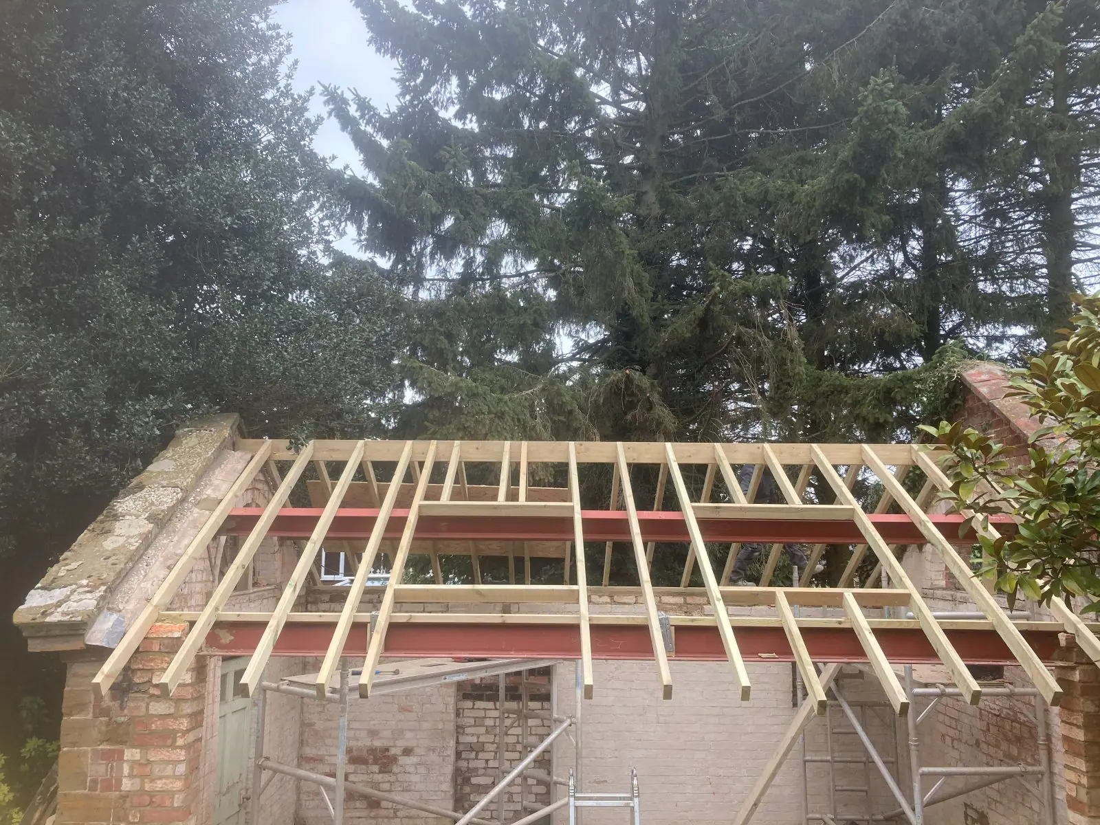 New timber rafters set out along the steels at even centres