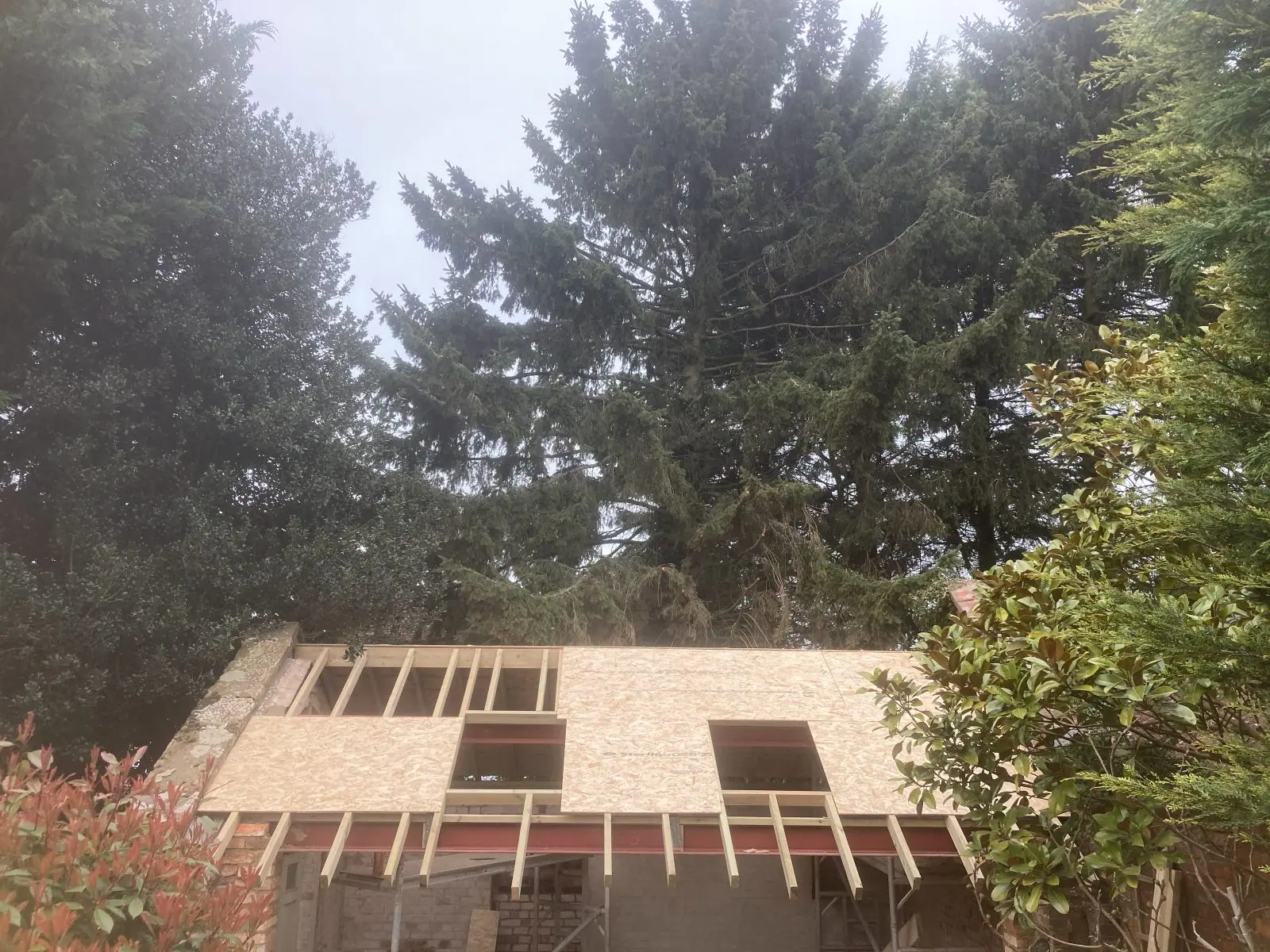 The roof sheathed in boards with the openings for two roof windows formed